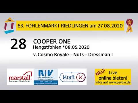 28 COOPER ONE - Dt. Reitpony HF v. Cosmo Royale-Nuts - Fohlenauktion Riedlingen 2020