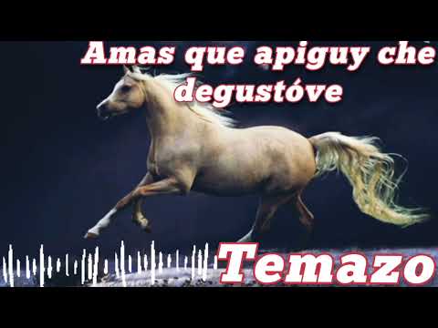 TOP💥 acapela 🔥 bandita 💯 amas que apiguy che degustove🎶🇵🇾@TAIRO-MIX-DJ