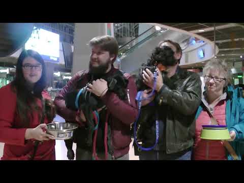 Ankunft in Hamburg am 8.4.2018