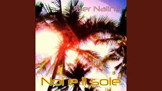 Noi e il sole (feat. Myky Petillo)