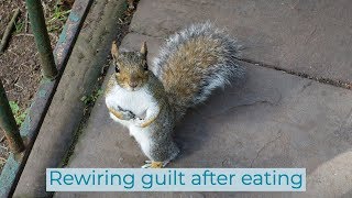 Rewiring guilt after eating