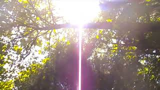 SALVE AS FOLHAS  .. MARIA BETHANIA.