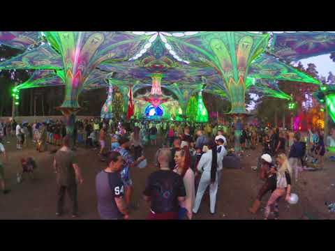 VooV Experience 2024  -  Braincell  ( full Set )