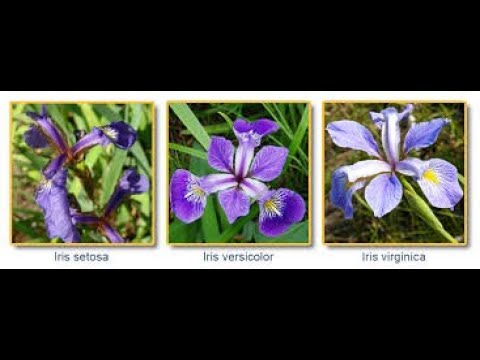 Iris Data Classification With Keras And Python