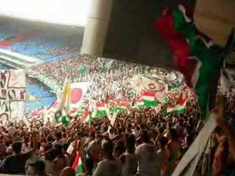 Samba PAVILHÃO DO AMOR, TRICOLOR (Inicitiva popular) "A saudade apertou"