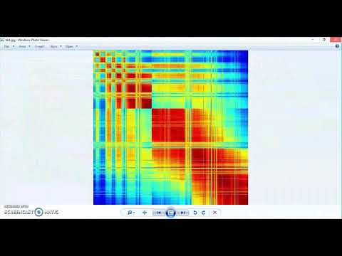 SSM_display screencast