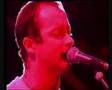 Another World by Hoodoo Gurus - Live