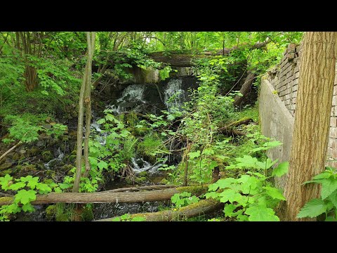 Wehr der ehemaligen Mühle Papierfabrik (Falkenberg/Mark)