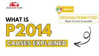 dtc p2014 quickly Fix