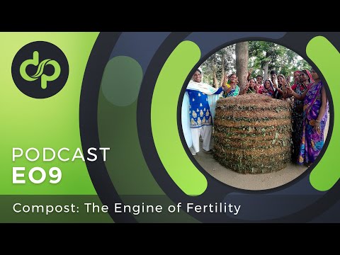 Compost: Permaculture's Fertility Engine | Discover Podcast