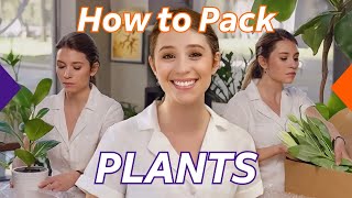 FedEx How to pack perishables: flowers and plants