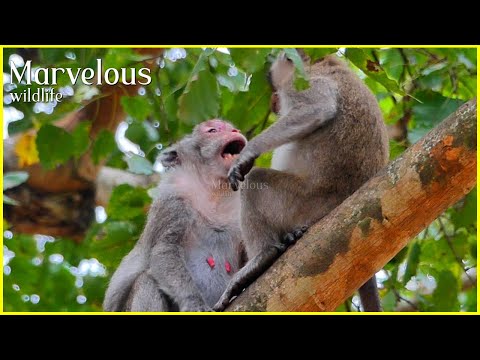 How is Jonna f/eelingg...? When Jane r/evokedd intimacy surrounding the chestt