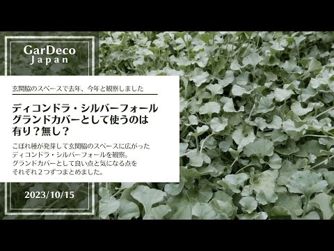 園芸 ガードナーのエスカロニア、オルガン山脈のエスカロニア