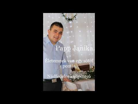 Papp Janika - Életemnek van egy sötét pontja,Nádfedeles kulipintyó  2020 Csárdás