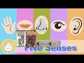 Barney Let S Play School Credits Comparison Screener Vs Final Version V2 2033