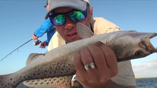 Speckled trout challenge: live shrimp vs. artificials
