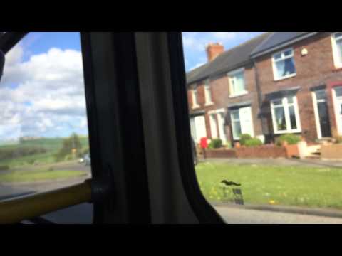 Tired Old Shed - DAF DB250 7444