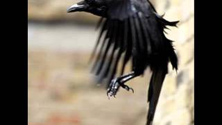 Serafin - Scars And Bloody Lies