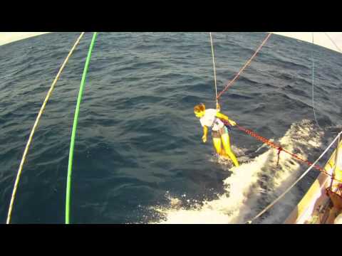 Alessandra Sensini e i delfini