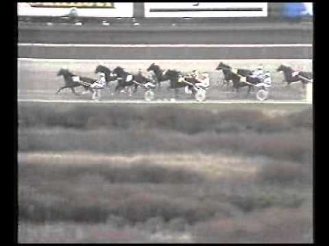 Arvid Stjernswärds Minneslöpning 1988 - Callit / Karl O Johansson