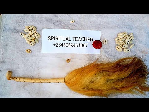 How To Consult Oracle Using Cowries