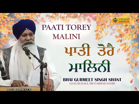 Paati Torey Malini | Bhai Gurmeet Singh Shant | Hazuri Ragi Darbar Sahib | Classical Kirtan