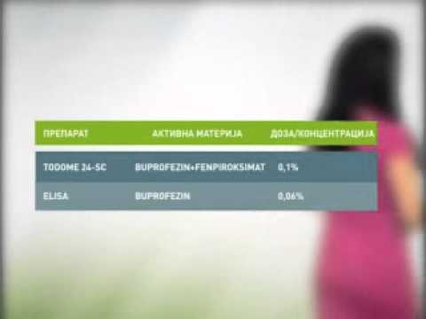 EsrZelenaprog100615s3m