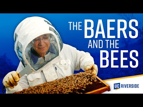 The married UCR entomologists fighting to save honey bees — and our future