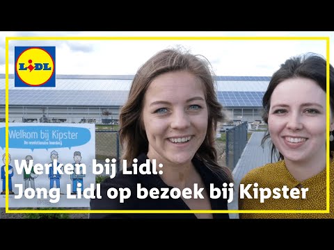 download lagu mp3 mp4 Lidl Kipster, download lagu Lidl Kipster gratis, unduh video klip Lidl Kipster