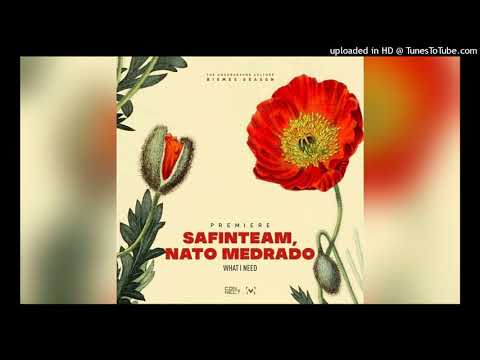 Nato Medrado, Safinteam - What I Need