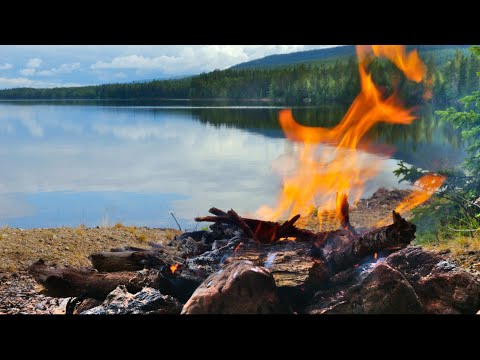 Solo Camping in the Nordic Wilderness