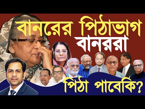 বানরের পিঠাভাগ || বানরা পিঠা পাবেকি ? #Nazmul_Hasan #New_York_Voice