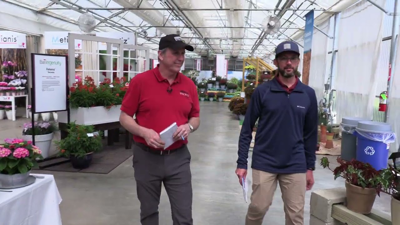 Spring Trials 2023: Ball Ingenunity