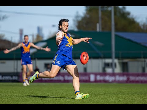 EDFL 2024 Men's Division Two Grand Final Highlights - Taylors Lakes v Westmeadows