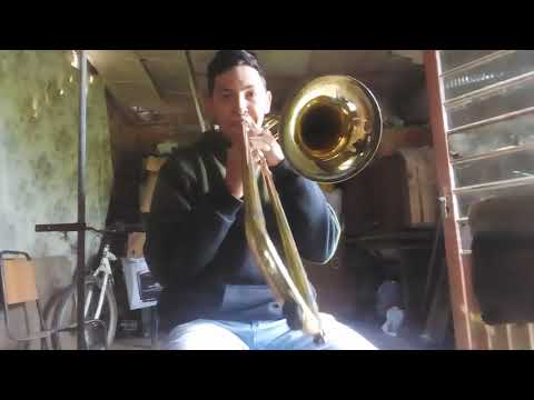 adele-rolling in the deep (trombone tenor)
