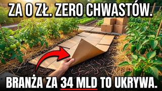 Karton Zamiast Herbicydów – Metoda Za 0 Złotych, Którą Branża Za 34 Miliardy Tłumi