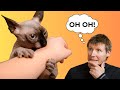 Ouch The 3 Types Of Cat Bites And When To Worry