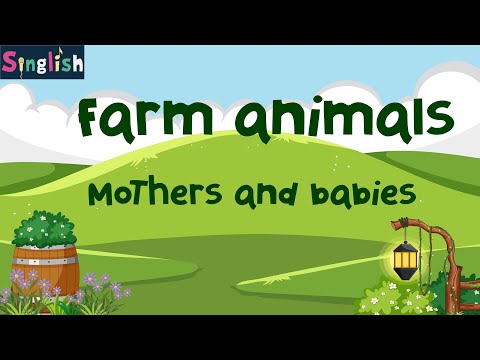 BUGS TEAM 2 - Unit 2 Lesson 5