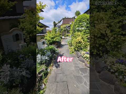 印象的な庭を作る、急成長するつる性の顕花植物 12 選  庭園