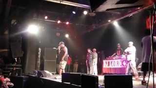 Public Enemy - I Shall Not Be Moved (Houston 12.27.13) HD