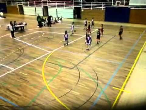 C.B.Pallejà Pre-Mini Masculí