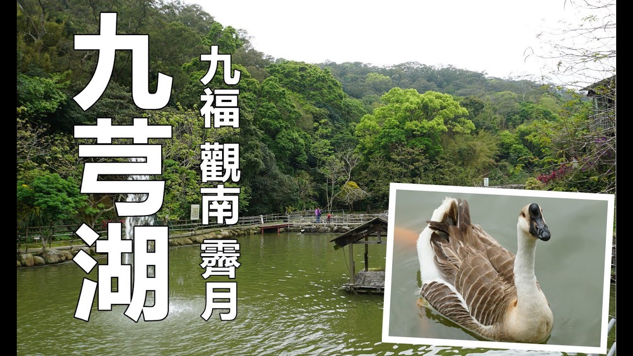 九芎湖步道群，九福步道、觀南步道、霽月步道走o型一圈，經過光風亭瞭望台，鴛鴦池，霽月亭，金谷農場，九芎湖休閒農場！