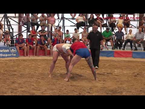 LUCHA CANARIA C.L.TAMANCA- C.L AUARITA TEDOTE( RESUMEN) 29-10-2017