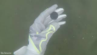 3 Metal Detecting Hunts w/ Pulse Dive by Nokta Makro