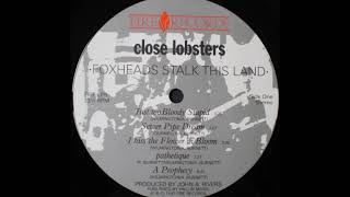 Close Lobsters - Just Too Bloody Stupid (A1)