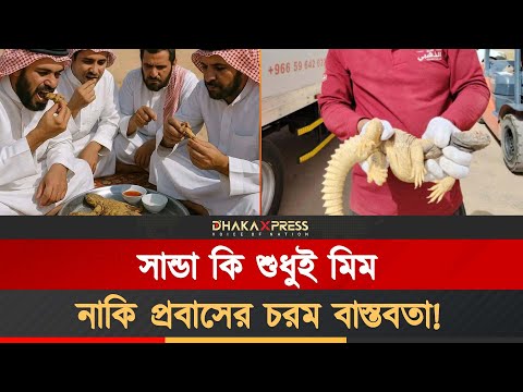 মরুভূমির সান্ডার ইন্টারনেটের স্টার হওয়ার আসল গল্প
