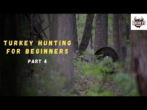 Field Scouting for Turkey 101 - How to read turkey sign