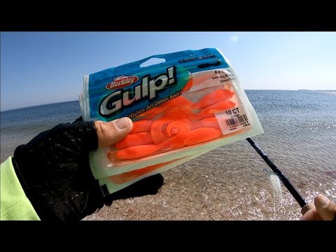 Finally Trying SALMON RED GULP! - Fluke Fishing the OPEN BEACH - Long Island NY