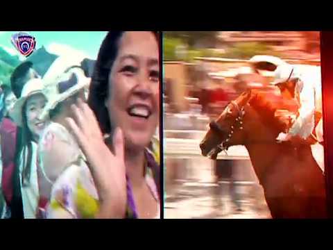 TURFTIME - 3rd Meeting 2020 Season