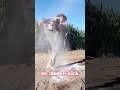 The Rural Boy Created His Own Leg Method No Shadow Kick Kungfu